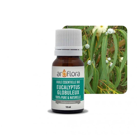 Huile Essentielle : Eucalyptus Globuleux 10 ml - goobio-and-zen