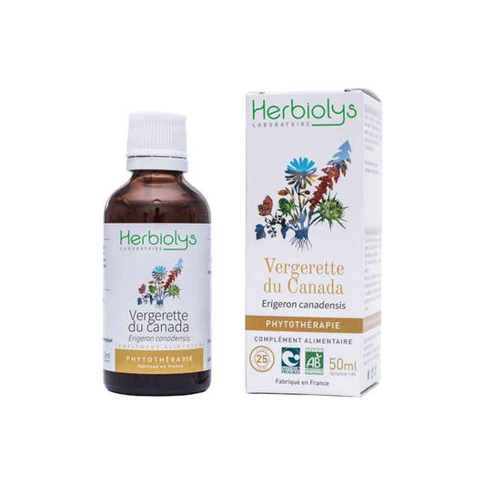 Vergerette du Canada - Extrait de Plante fraîche Bio (Erigeron canadensis) - 50 ml - goobio-and-zen